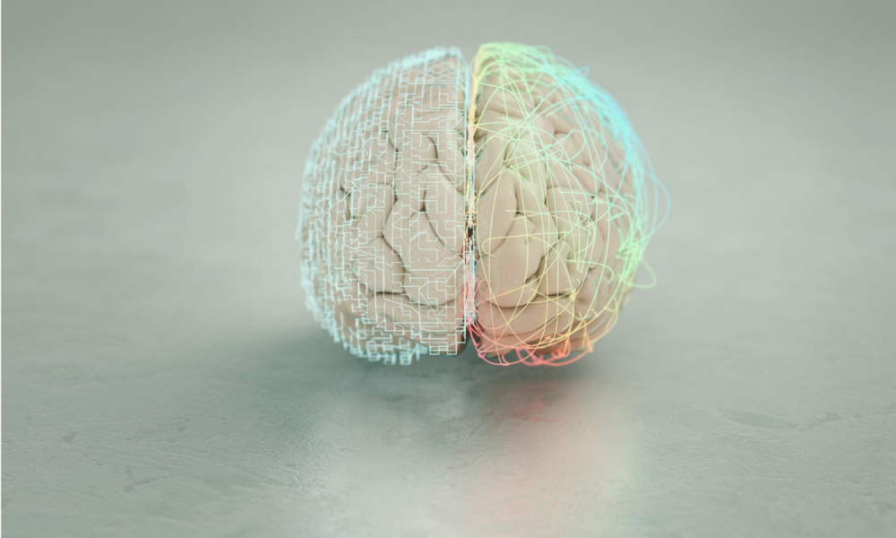 Ma quanti tipi di intelligenza esistono?